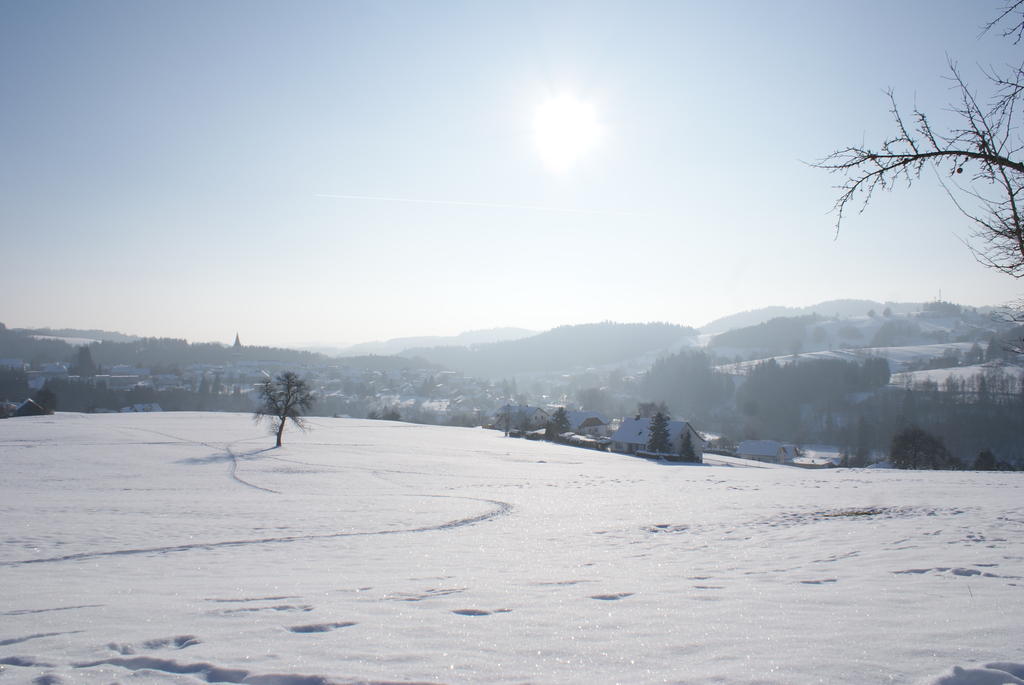 Gasthof 'Zum Alten Turm' Haslach an der Muhl Luaran gambar